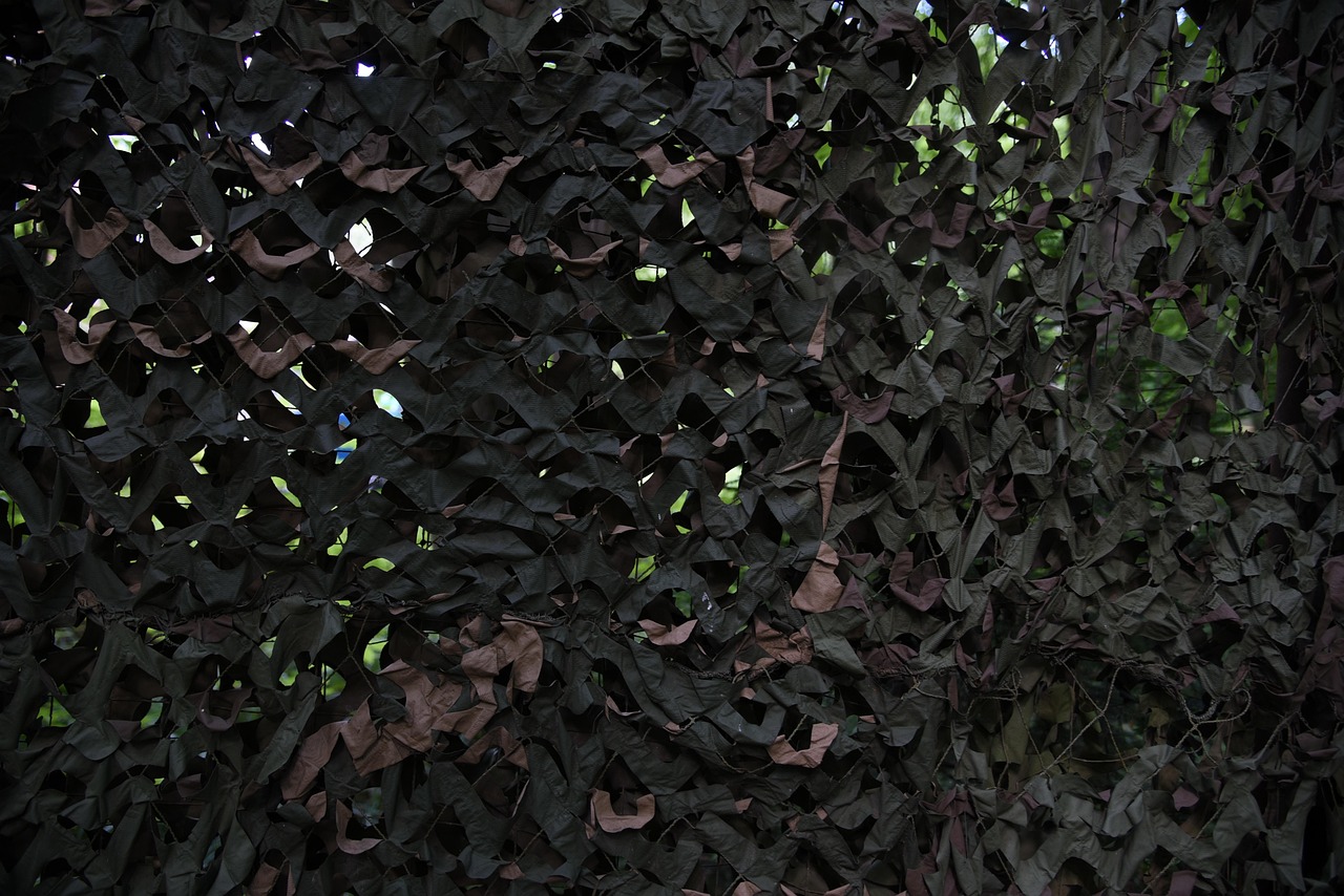 铁塔猫糖果双爆珠（粗）：天天果园官网app详情下载教程