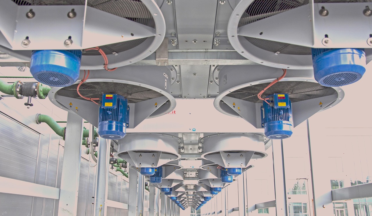 倩女幽魂app详情下载教程