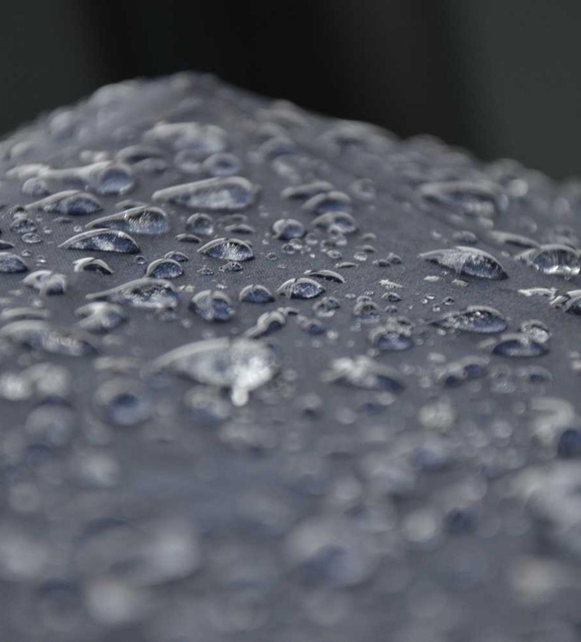 西部数码实名账号:2017详情下载教程歌不收费的app