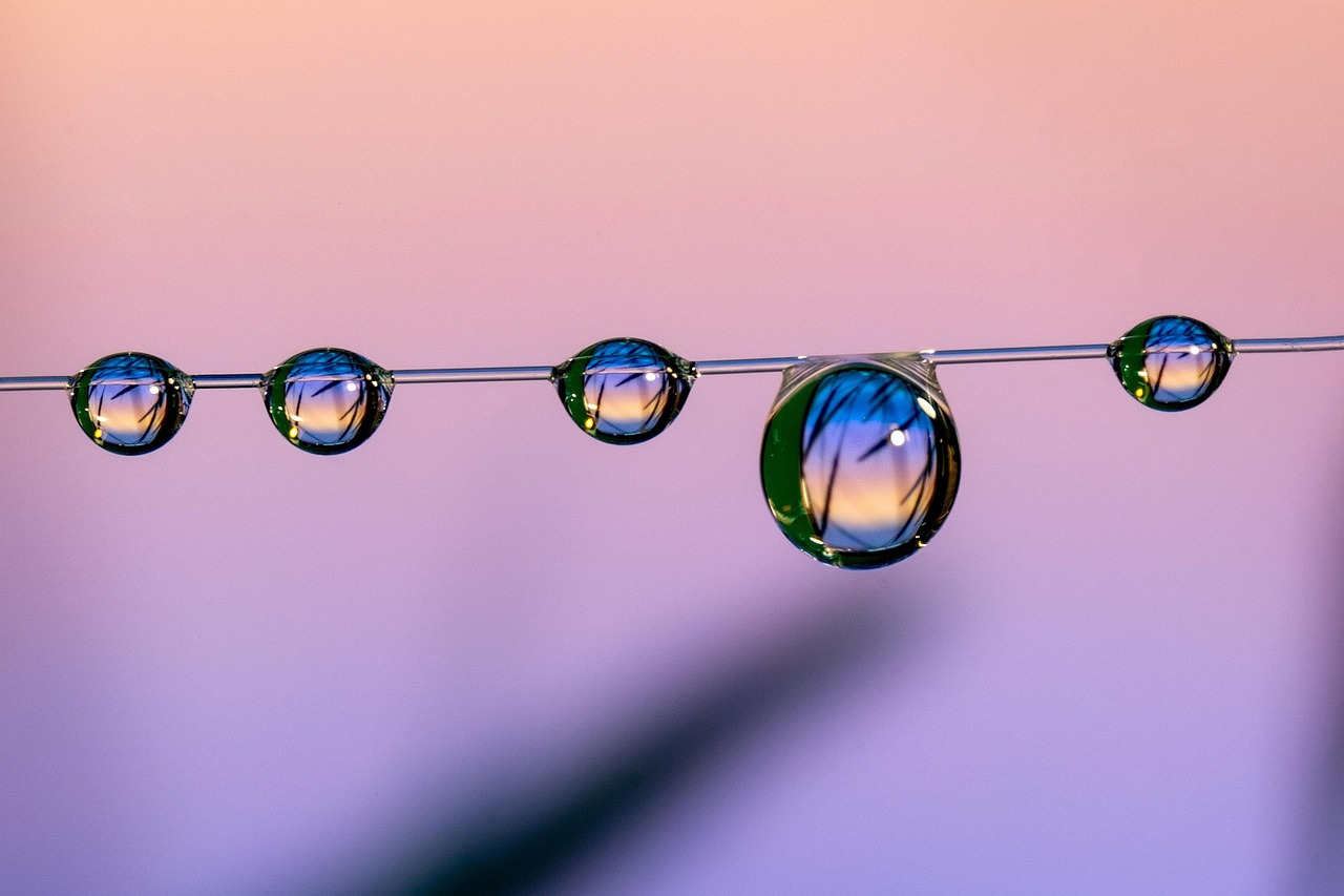 方盒绿大熊猫：购买知识课程平台