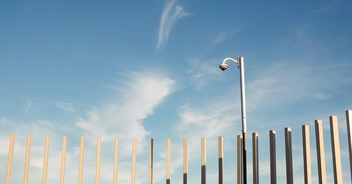 掌门太忙：小电影app详情下载教程